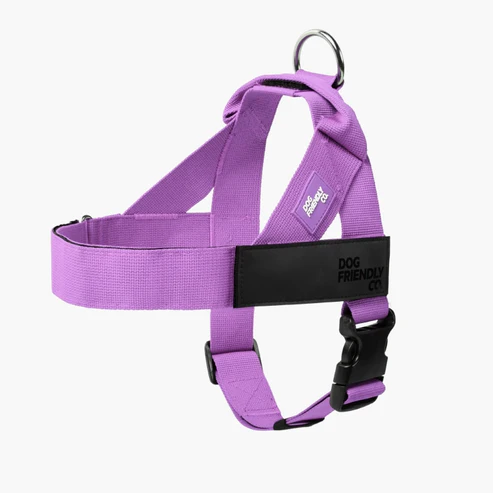 Dog Harness