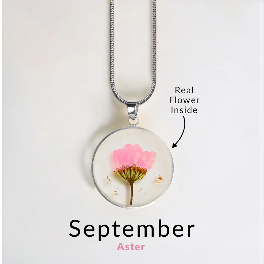 September Aster
