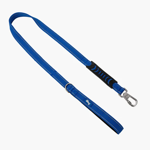 Classic Dog Leash