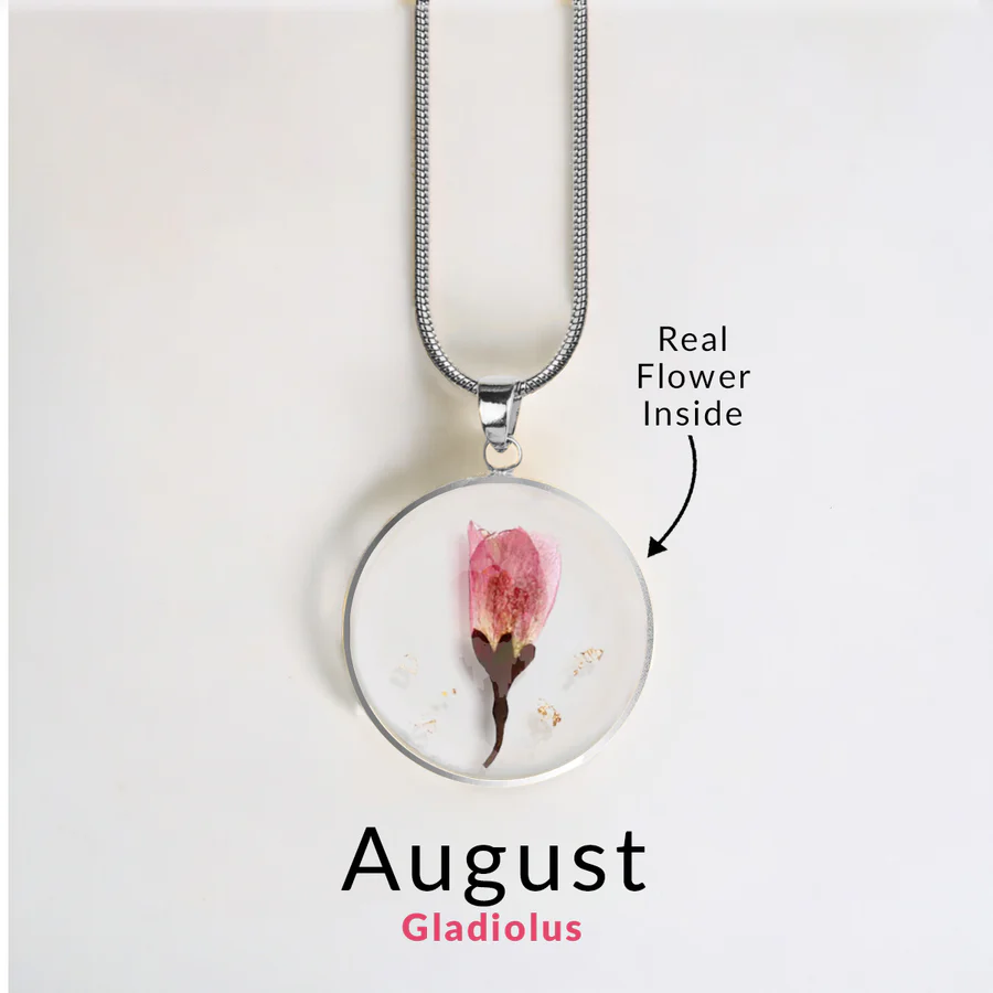 August Gladiolus