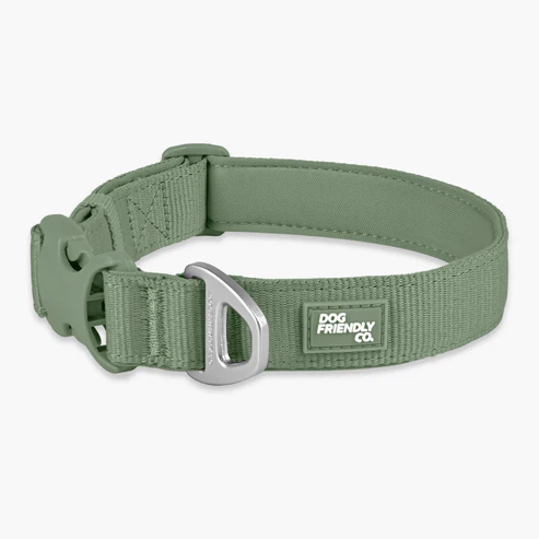 Essentials Collar
