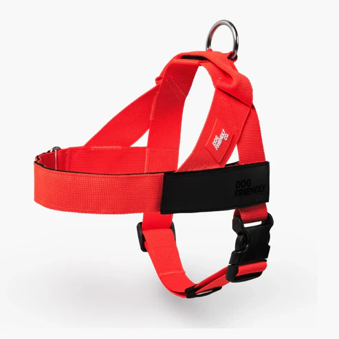 Dog Harness