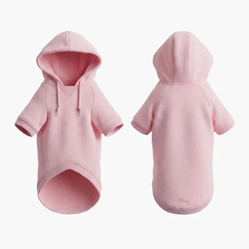 Winter Dog Hoodie