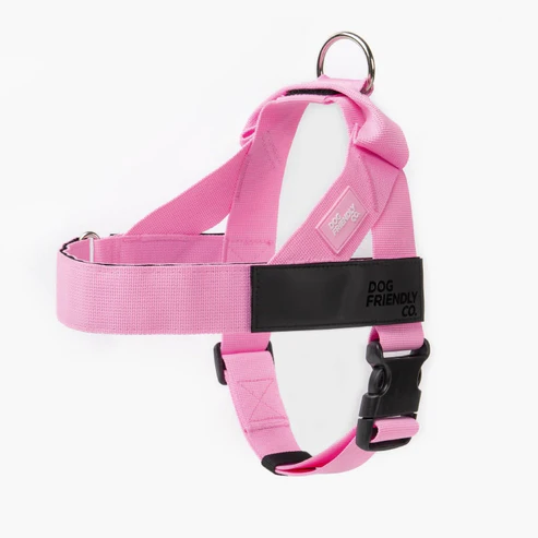 Dog Harness