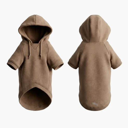 Winter Dog Hoodie