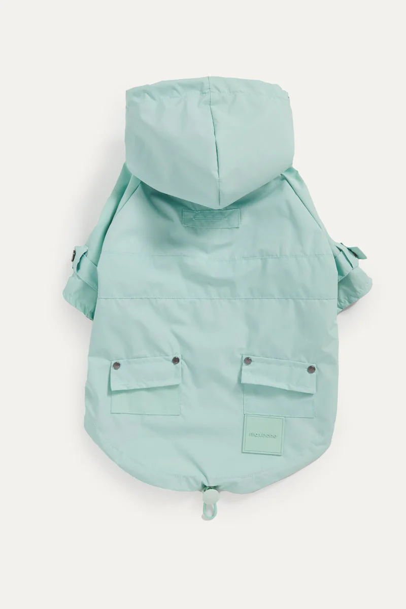 Mint