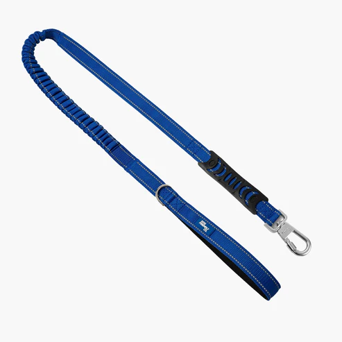 Bungee Dog Leash