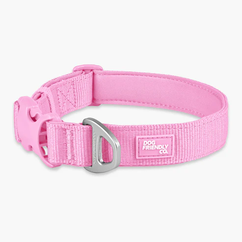 Essentials Collar