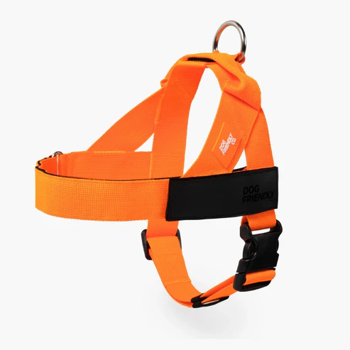 Dog Harness