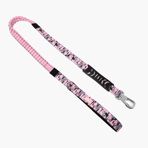 Bungee Dog Leash