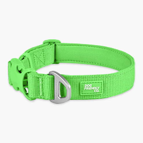 Essentials Collar