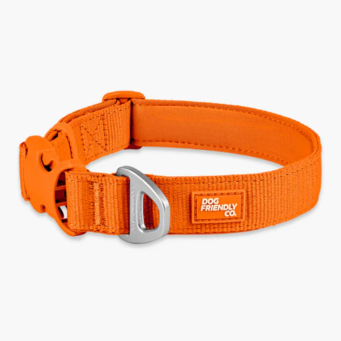 Essentials Collar