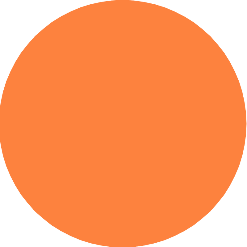 Personalized Milo Dog Carrier