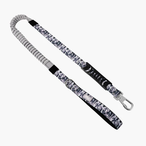 Bungee Dog Leash