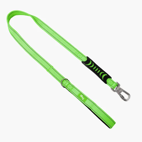 Classic Dog Leash