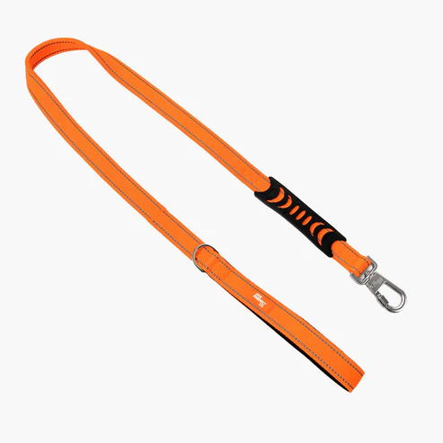 Classic Dog Leash