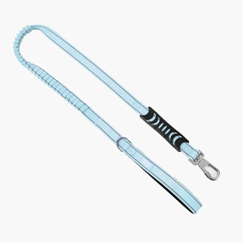 Bungee Dog Leash