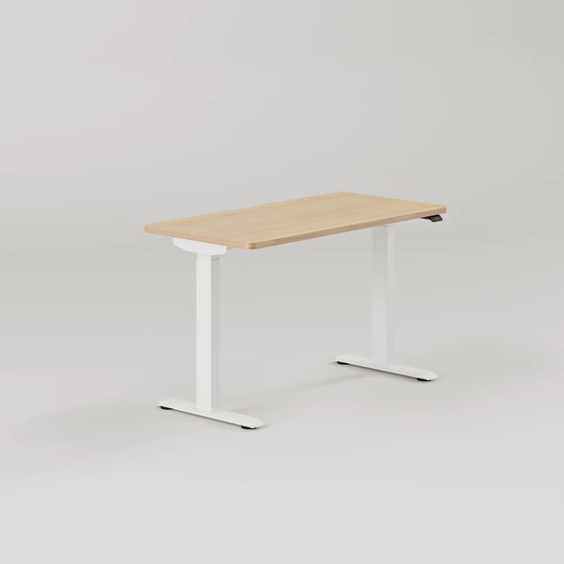 Ergonomic Chair + Standing Desk Bundle