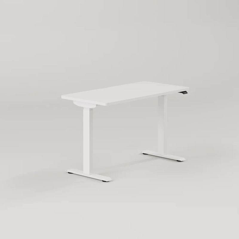 Ergonomic Chair + Standing Desk Bundle