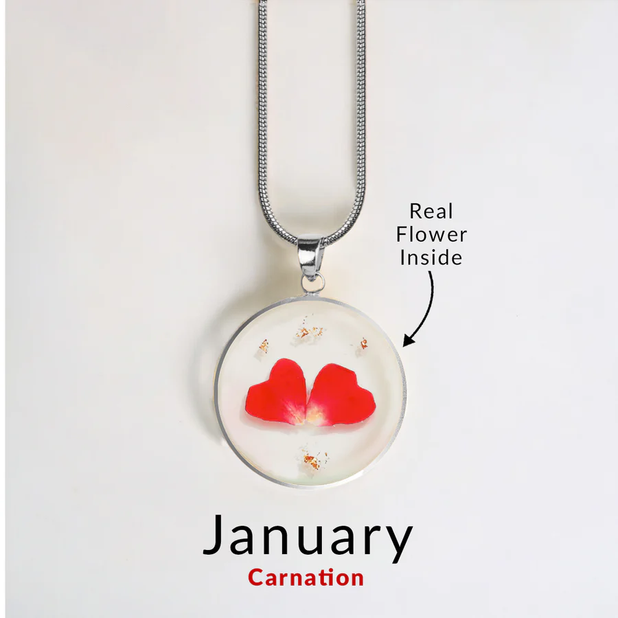 January Carnation