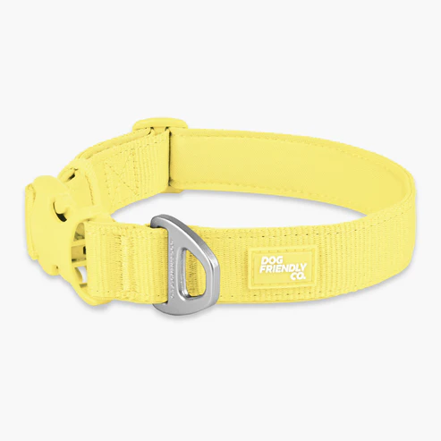 Essentials Collar