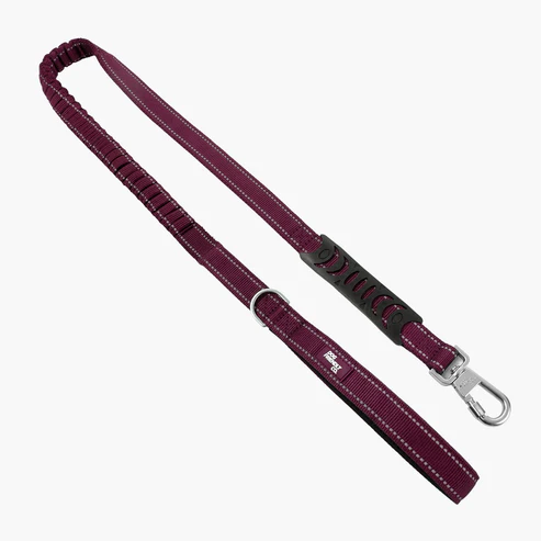 Bungee Dog Leash
