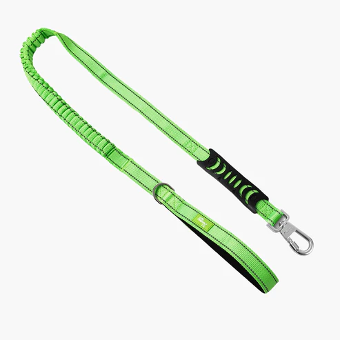 Bungee Dog Leash
