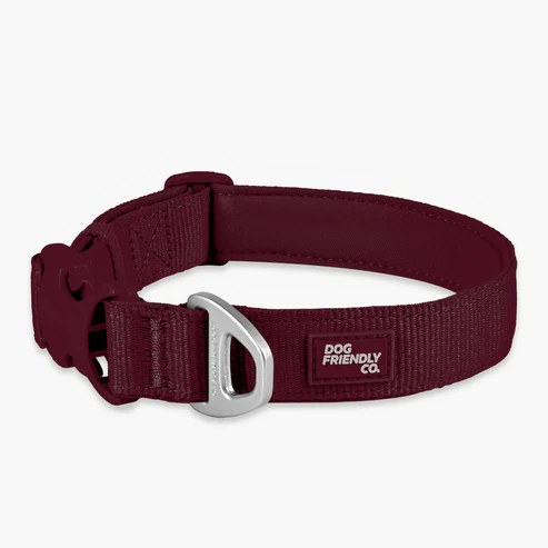 Essentials Collar
