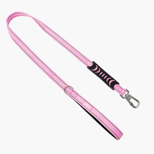 Classic Dog Leash