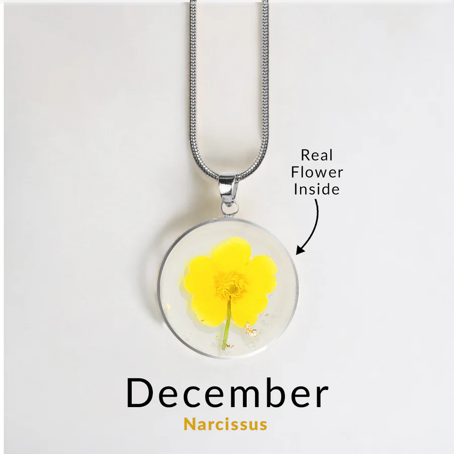 December Narcissus