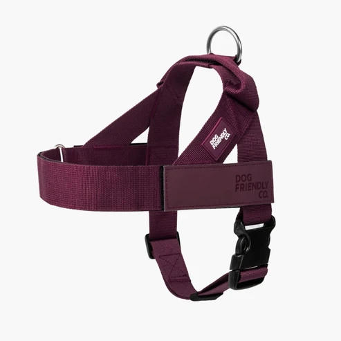 Dog Harness