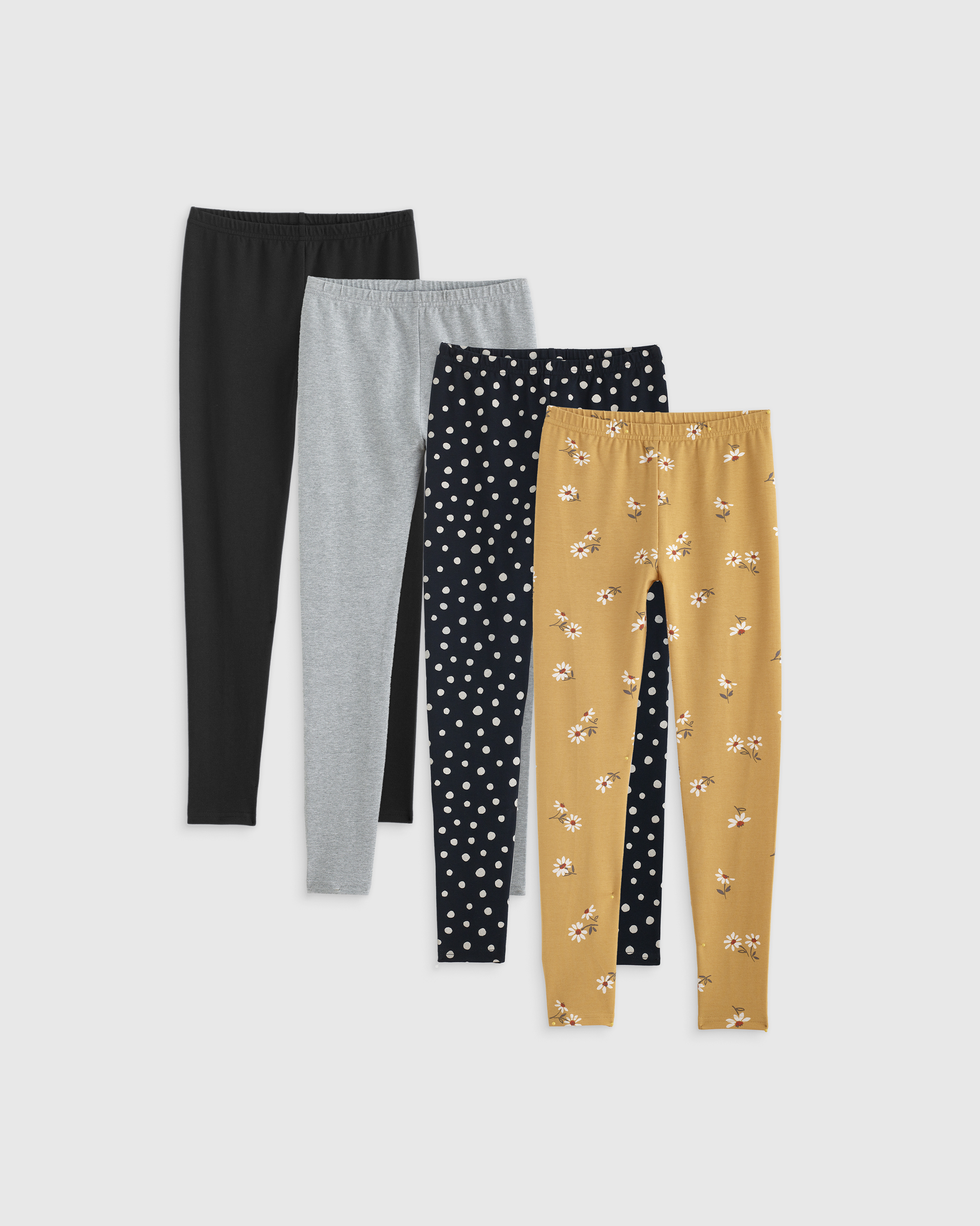Golden Daisy & Black Dot