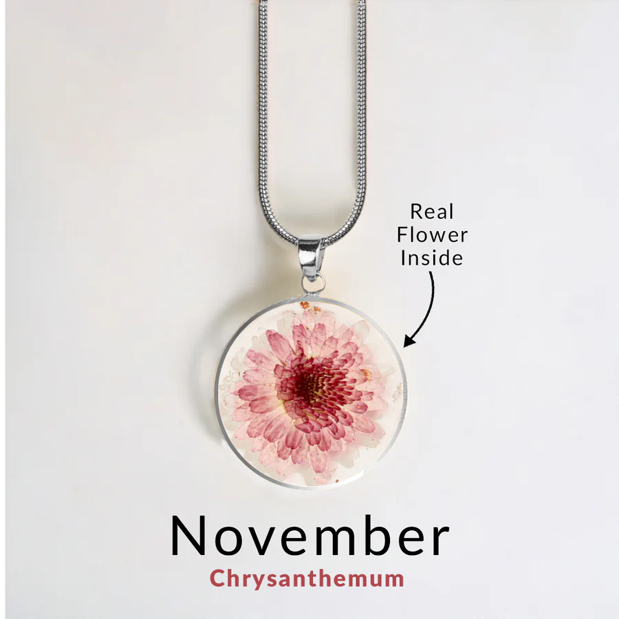 November Chrysanthemum