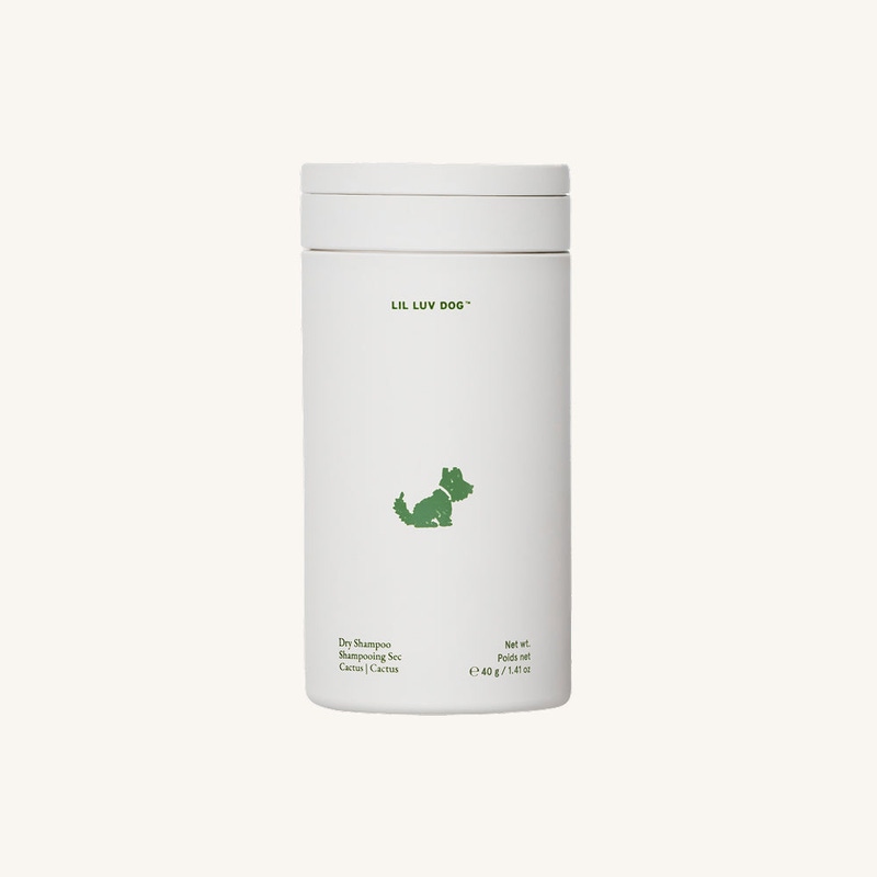 Dry Shampoo