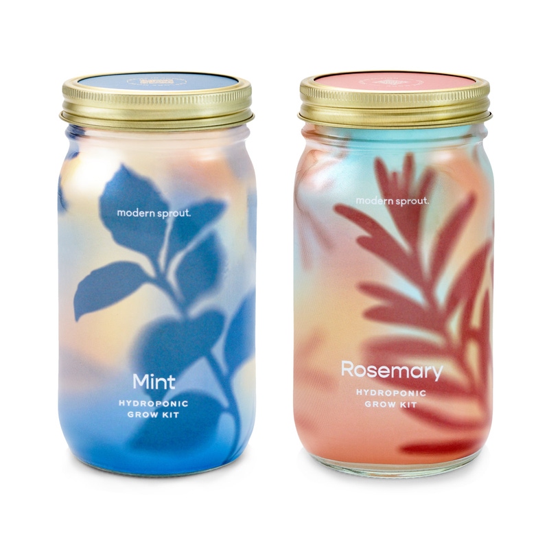 Herb Garden Jar 2-Pack