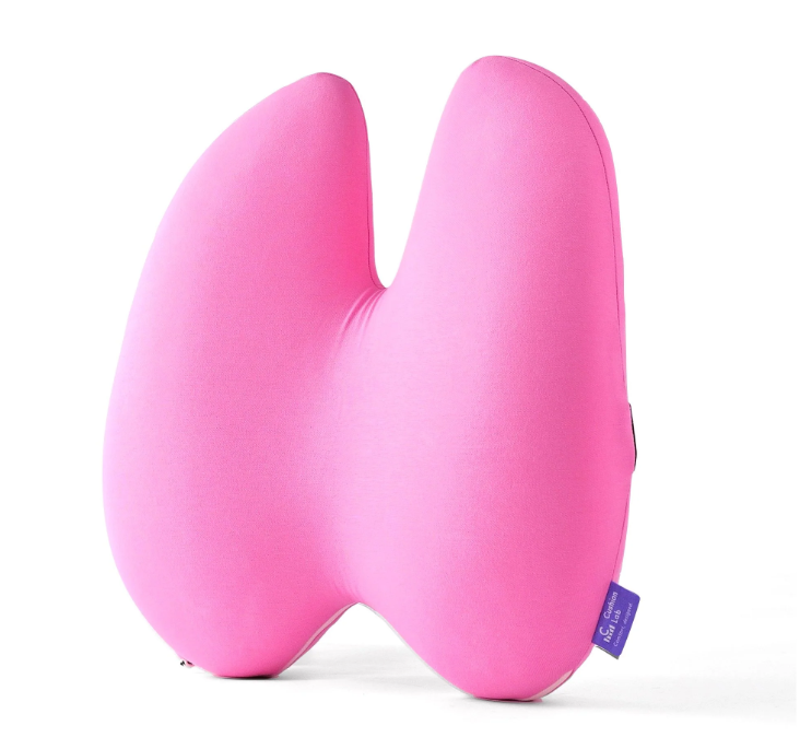 Back Relief Lumbar Pillow
