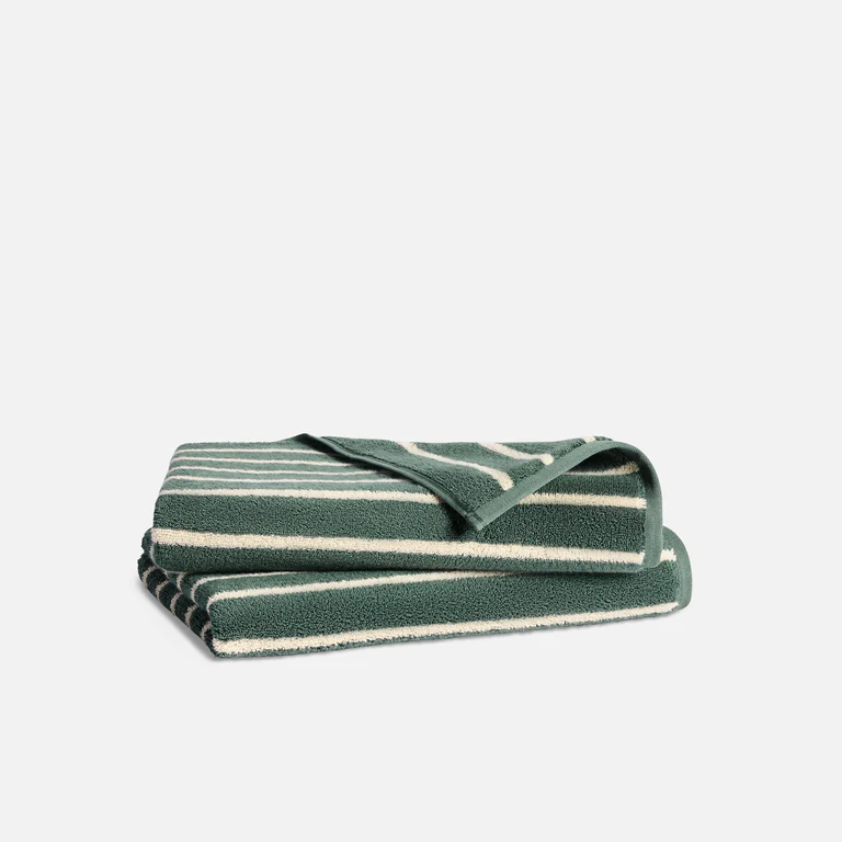 Super-Plush Turkish Cotton Hand Towels Set of 2