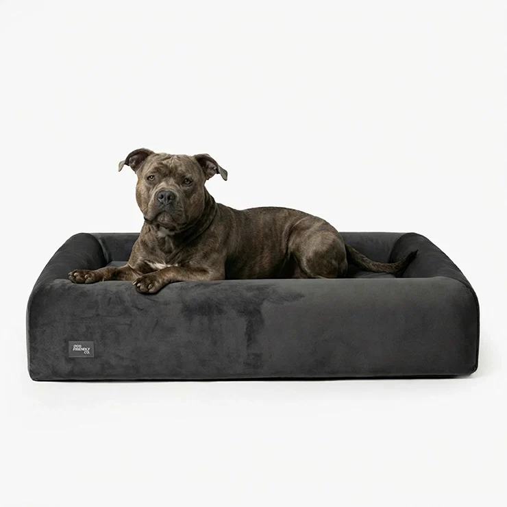 Small Orthopedic Memory Foam Dog Bed