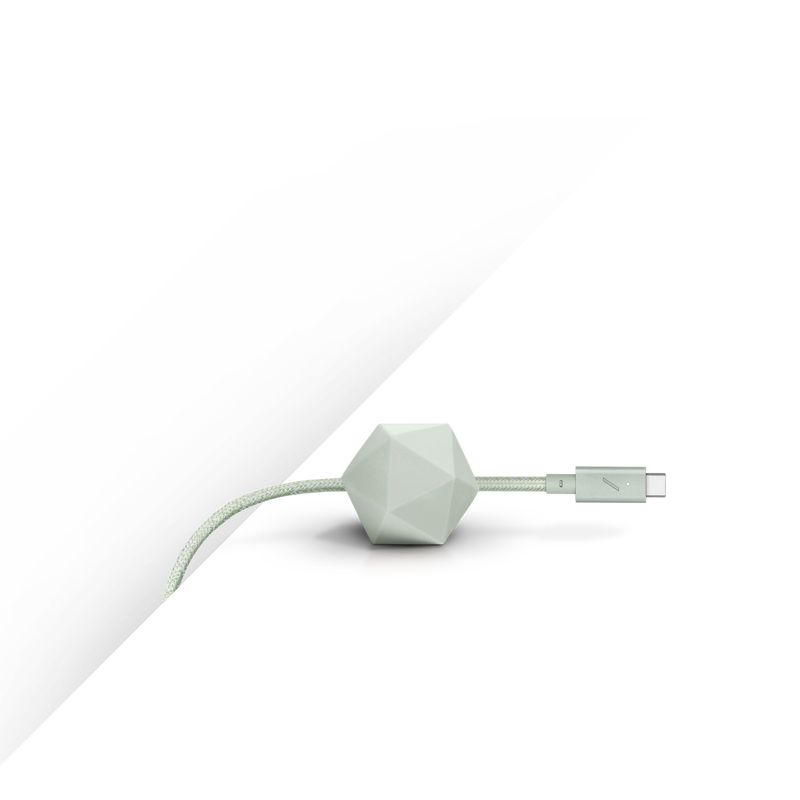 8' Desk Cable (USB-C to USB-C)