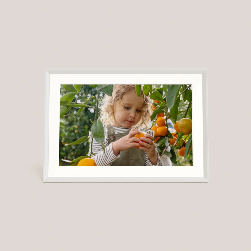Carver Mat Digital Frame