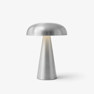 Aluminum