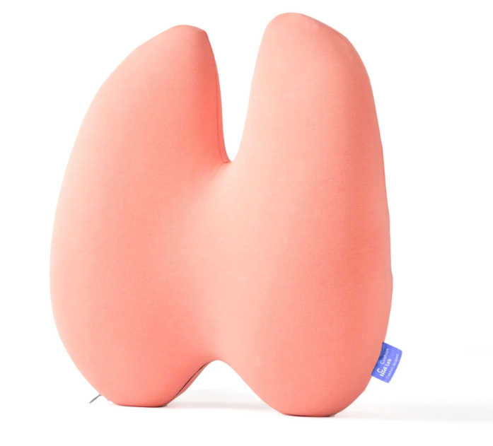 Back Relief Lumbar Pillow