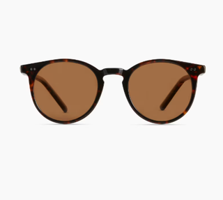 Tortoise with Brown Lens