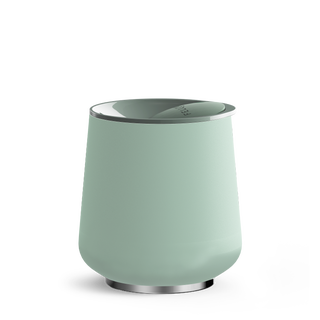 Mint Chip