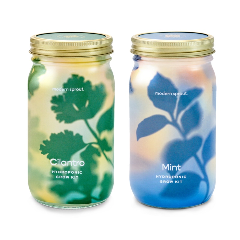 Herb Garden Jar 2-Pack