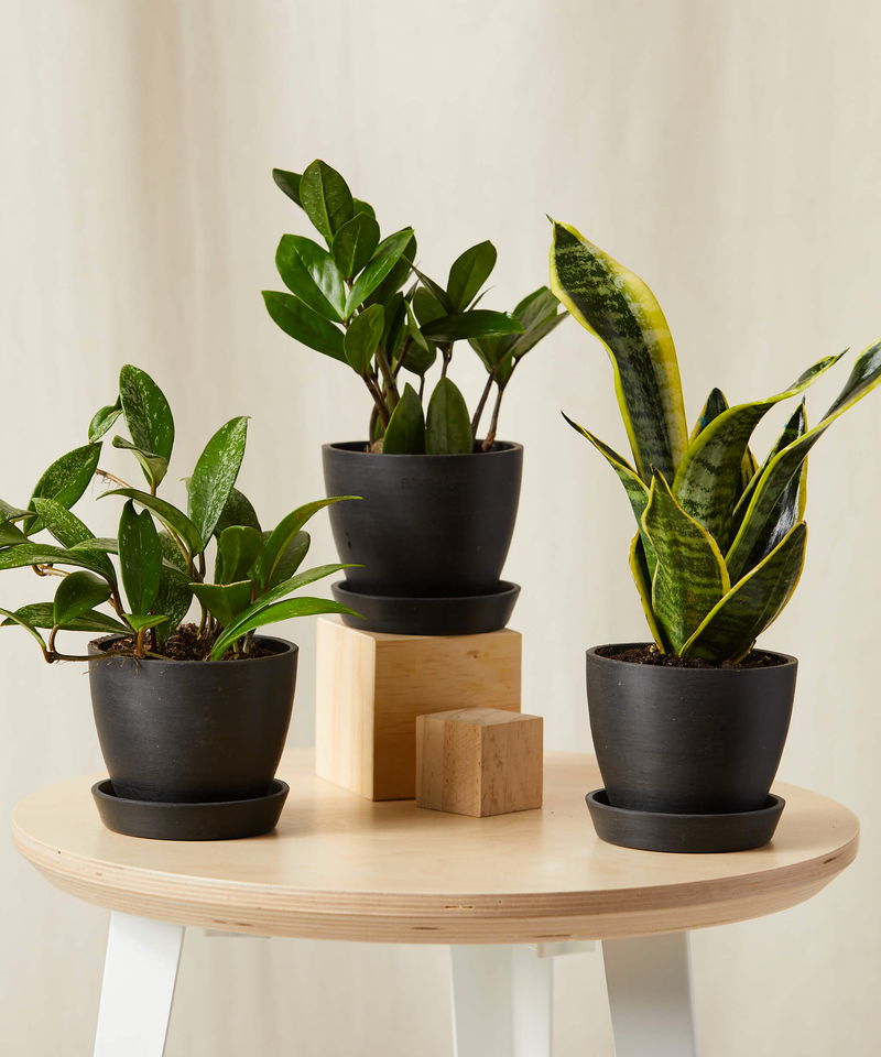 Tough Stuff Collection