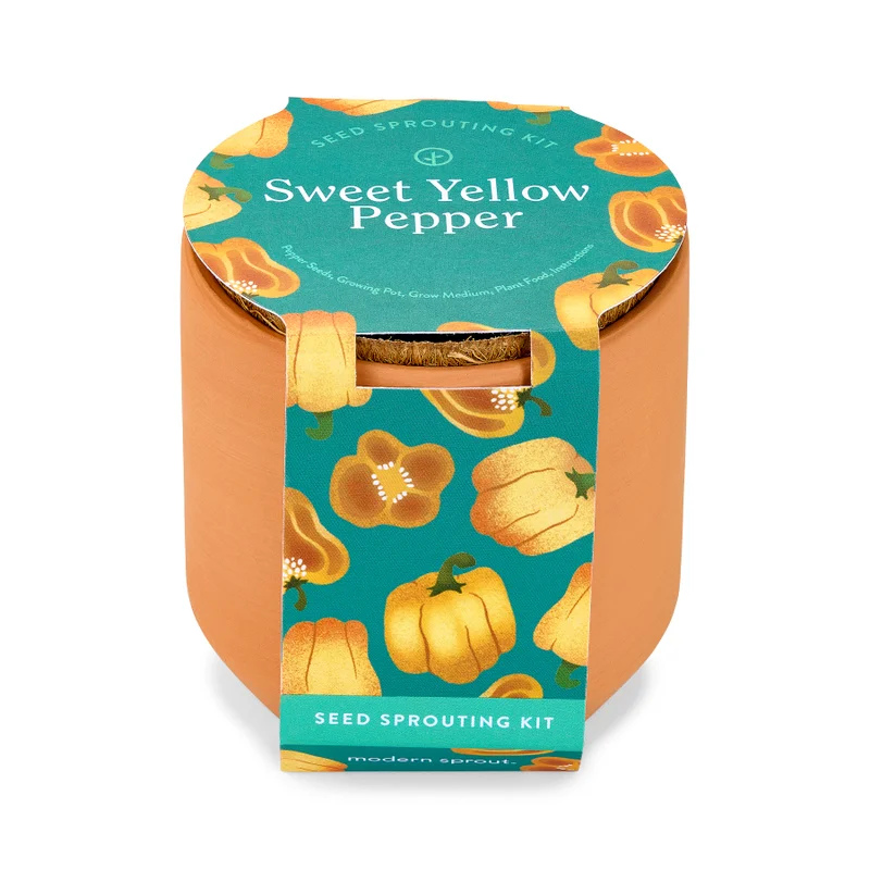 Tiny Terracotta Garden Kits