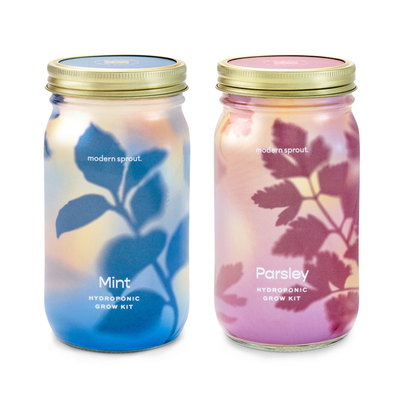 Herb Garden Jar 2-Pack