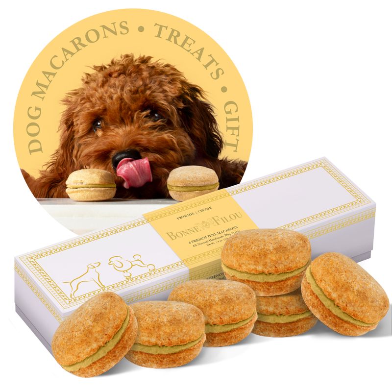 Box of 6 Dog Macarons