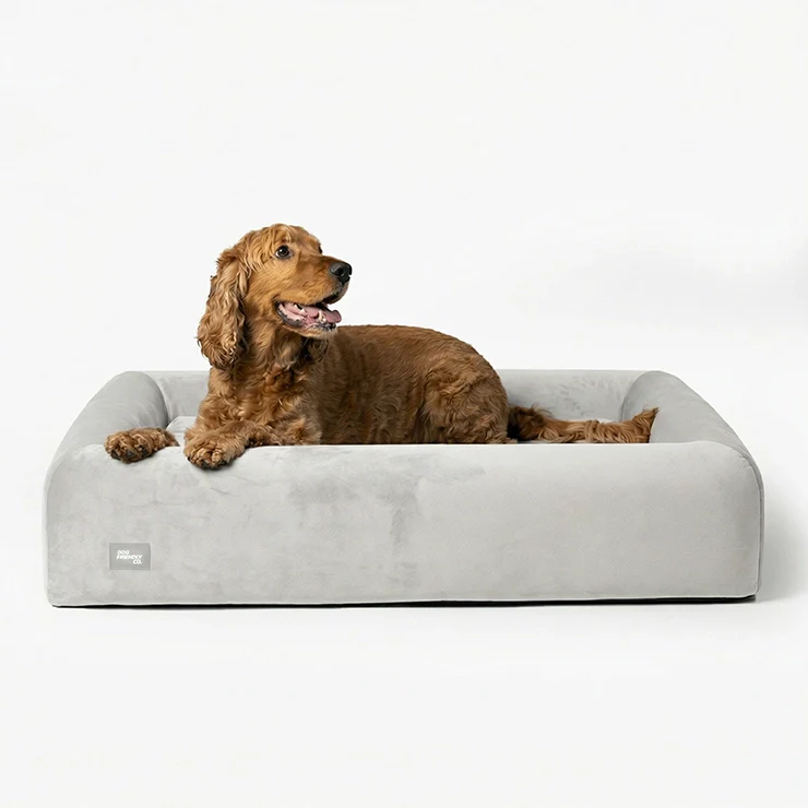 Small Orthopedic Memory Foam Dog Bed